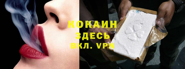 прущие грибы Гусь-Хрустальный