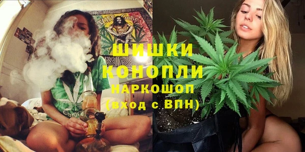ГАЛЛЮЦИНОГЕННЫЕ ГРИБЫ Дмитров
