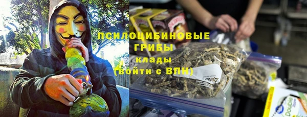 прущие грибы Гусь-Хрустальный