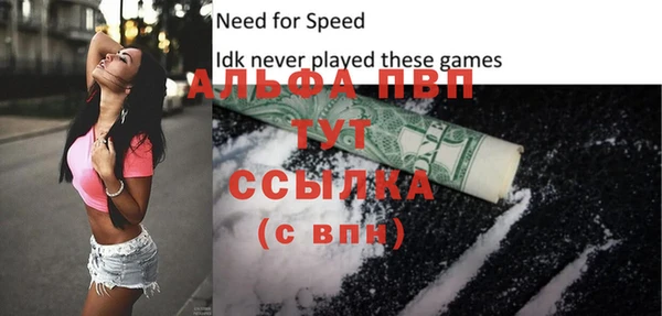 прущие грибы Гусь-Хрустальный