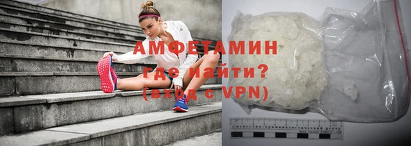 прущие грибы Гусь-Хрустальный
